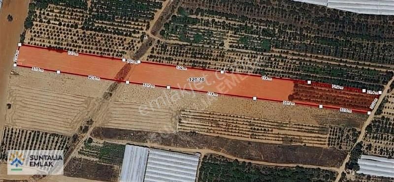 Bayatın En Tutulan Yerinde 13405 M2 Tek Tapu Tarla + Bahçe - Görsel 2