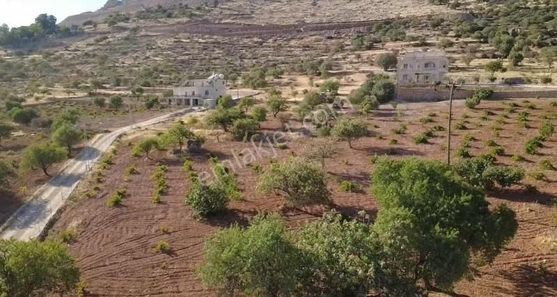 Gölbaş Emlaktan Zınnarda Satılık 8 Dönüm Fırsat Bağ Bahçe