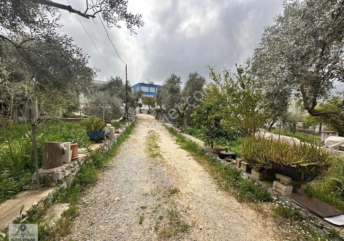 Milas Baharlıda Satılık 1+1 Ve Depo Ve Hani Alanı Bırakılmış 2 Boş Alan Ve Arsası - Görsel 6