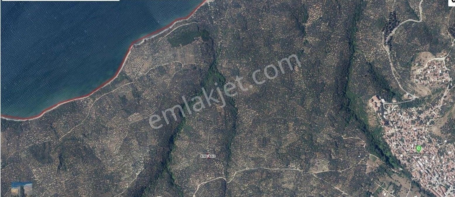 S1069 Ayhan Gezer Emlak'ta Edincik Mh 271m2 Satılık Zeytinlik - Görsel 4