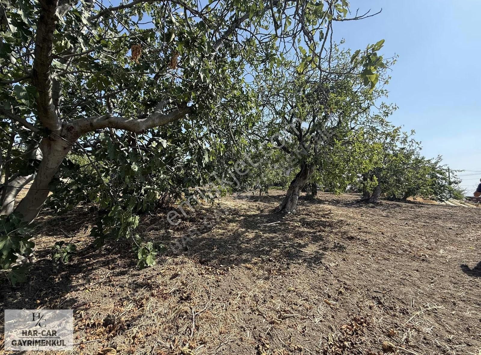 Villa İmarlı Fırsat Arsa... - Görsel 7