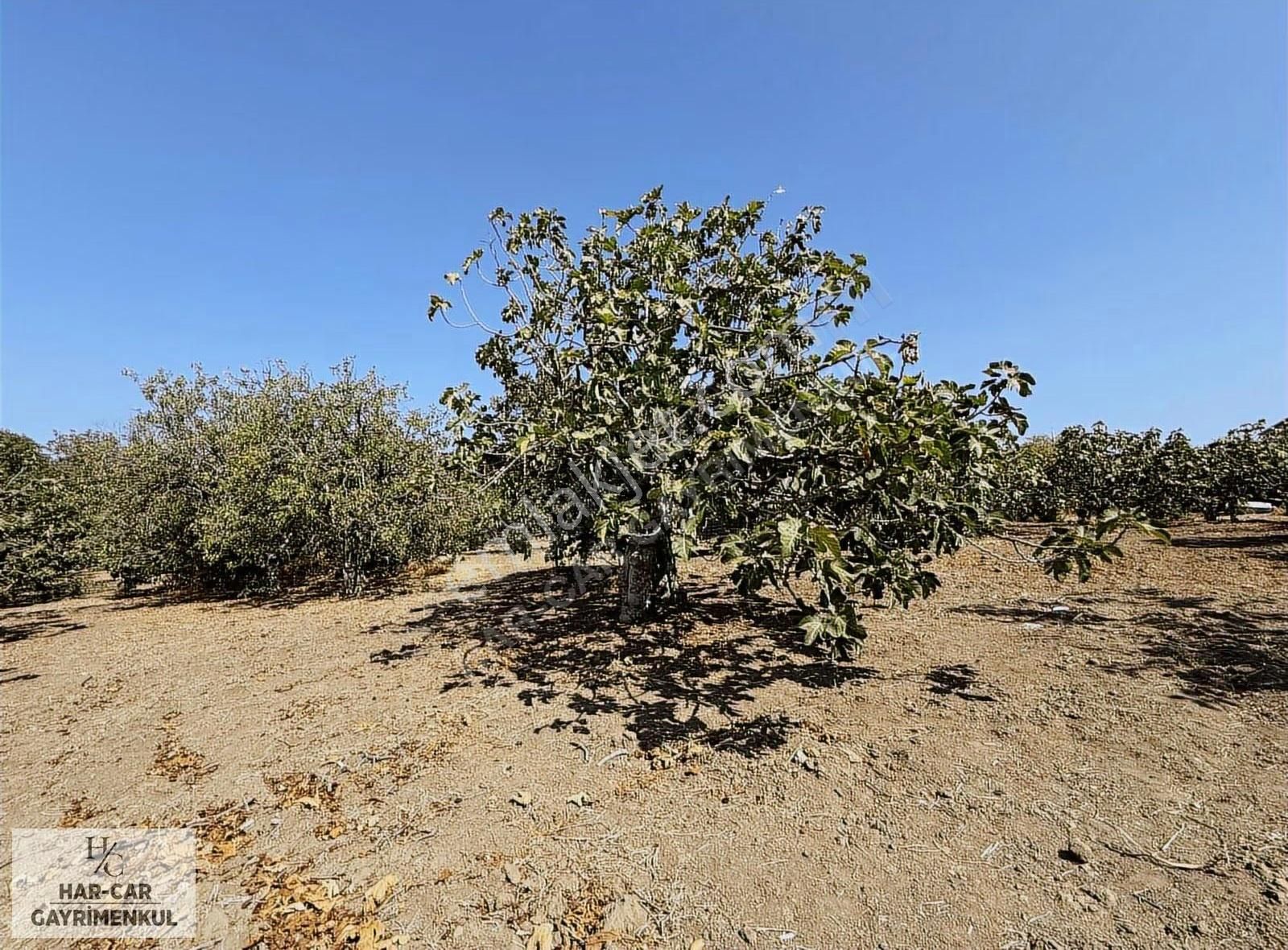 Villa İmarlı Fırsat Arsa... - Görsel 12