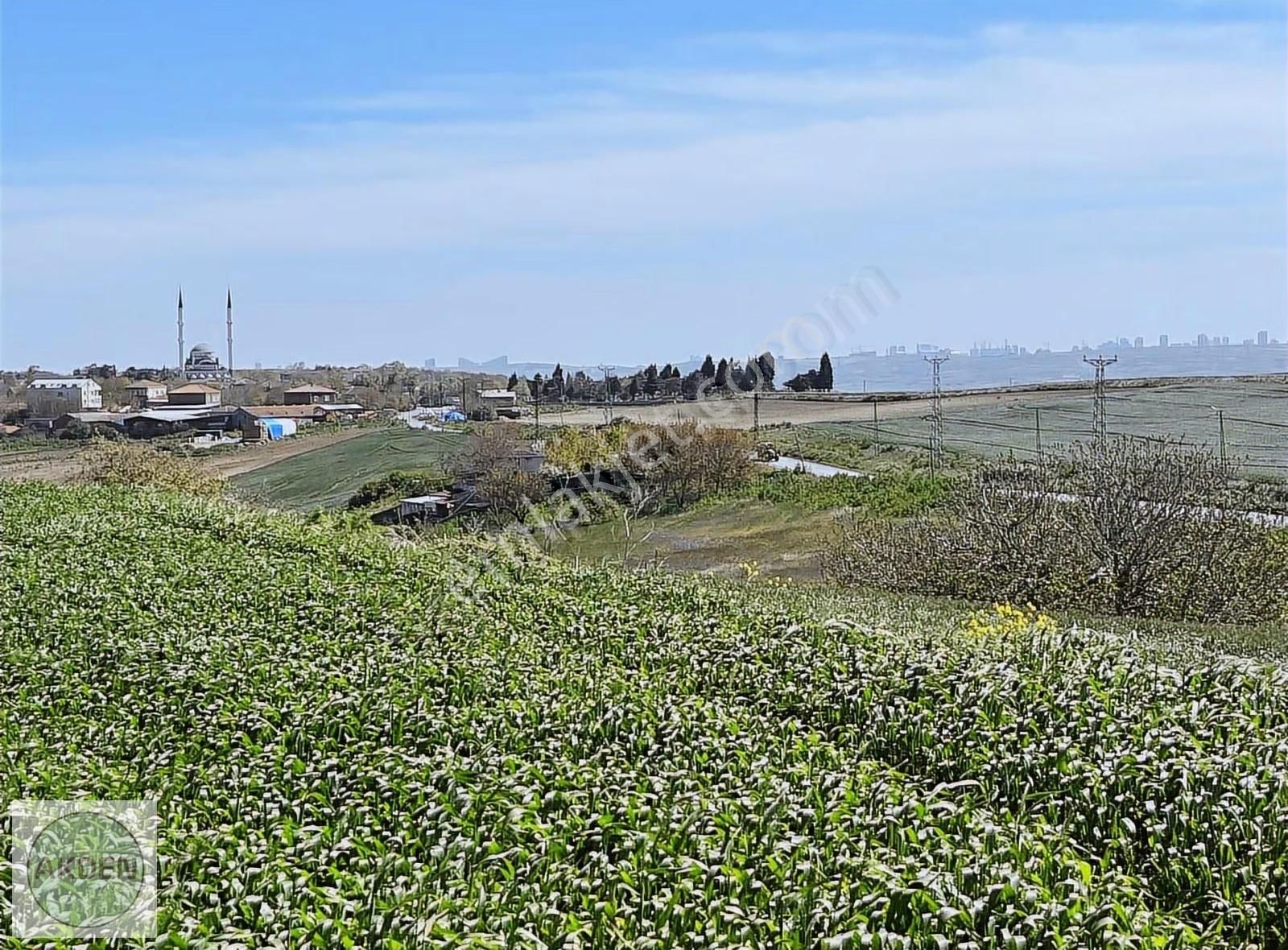 Çilingir De Emlak Konut' Un Yanıbaşında Yatırımlık Arsa Fırsatı - Görsel 3