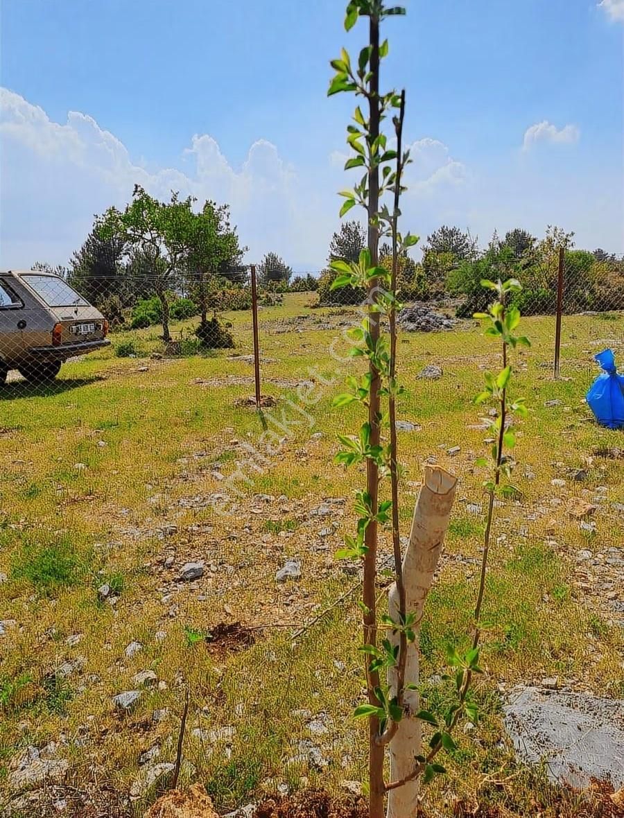Acil Satılık Gelişen İkizcede Telle Çevrili Harika Parsel - Görsel 2