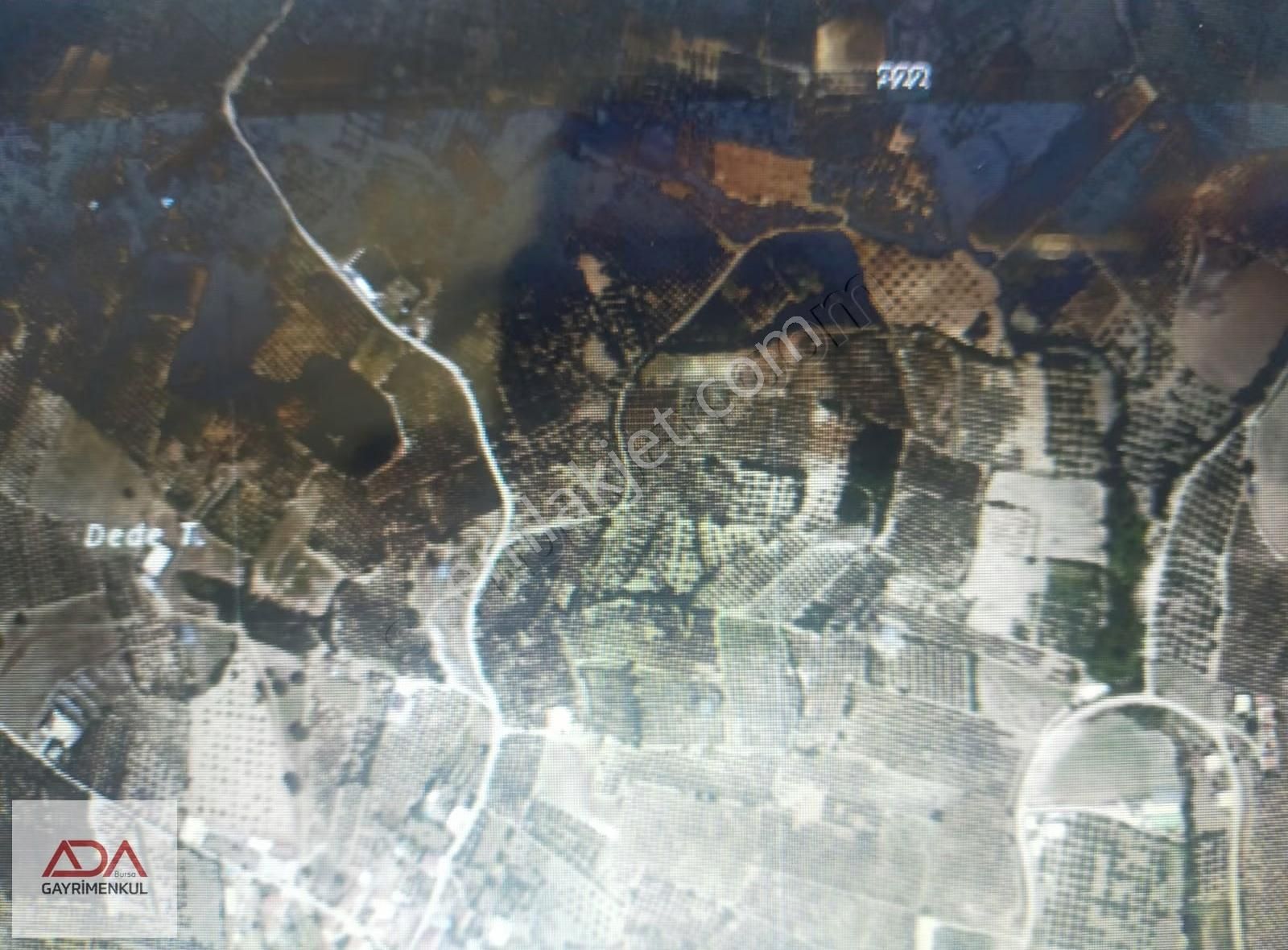 Bursa Ada'dan Mudanya Mürsel Köyde Satılık Müstakil Tapulu Tarla - Görsel 4