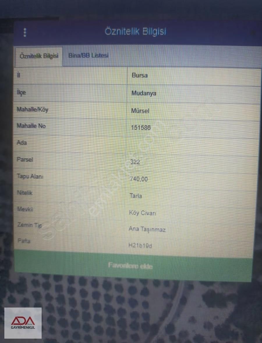 Bursa Ada'dan Mudanya Mürsel Köyde Satılık Müstakil Tapulu Tarla - Görsel 12
