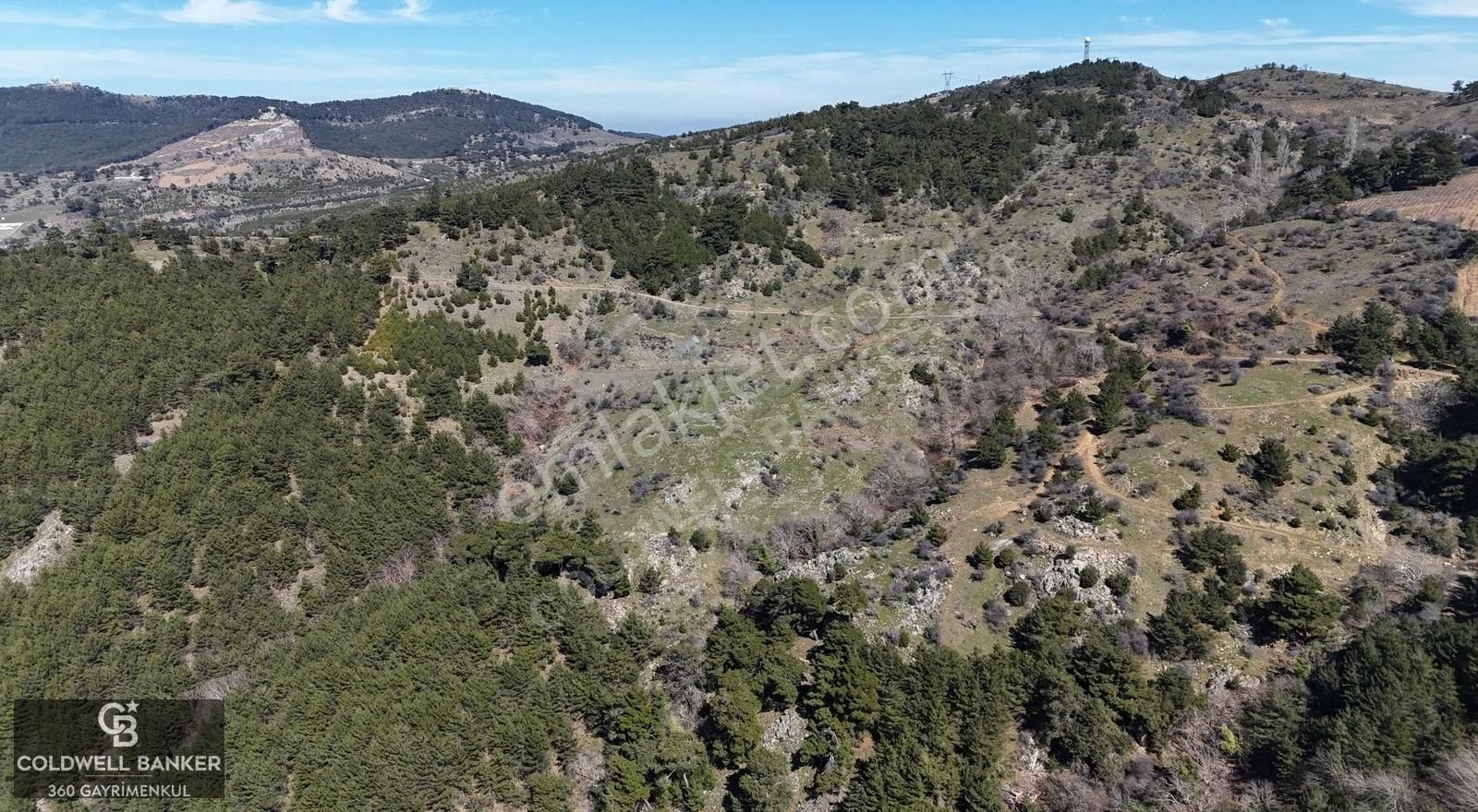 İzmir Menderes Efemçukuru'nda Satılık Tarla - Görsel 7