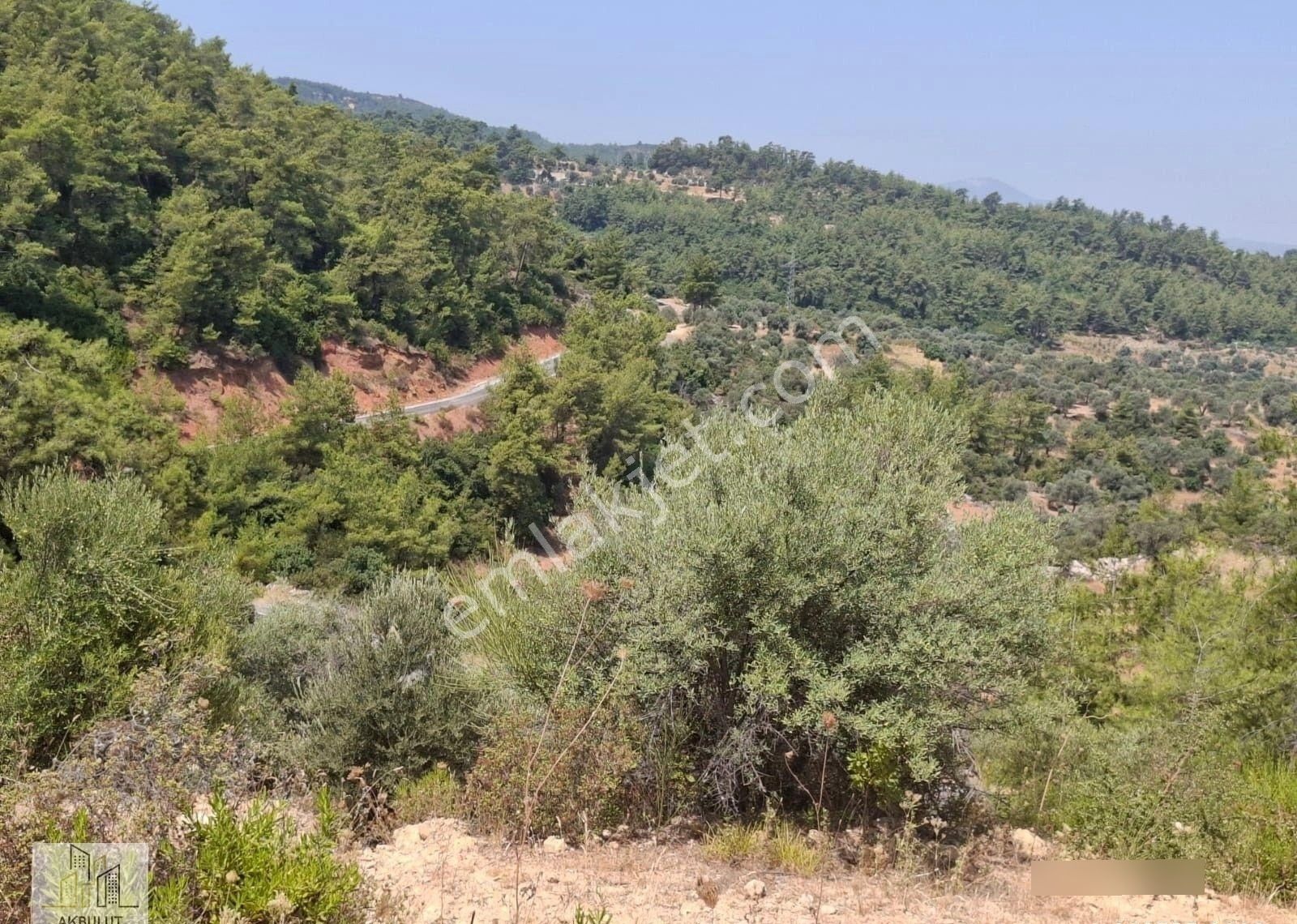 Ören Alatepe'de 5.795 M² Zeytinli Tarla - Görsel 4