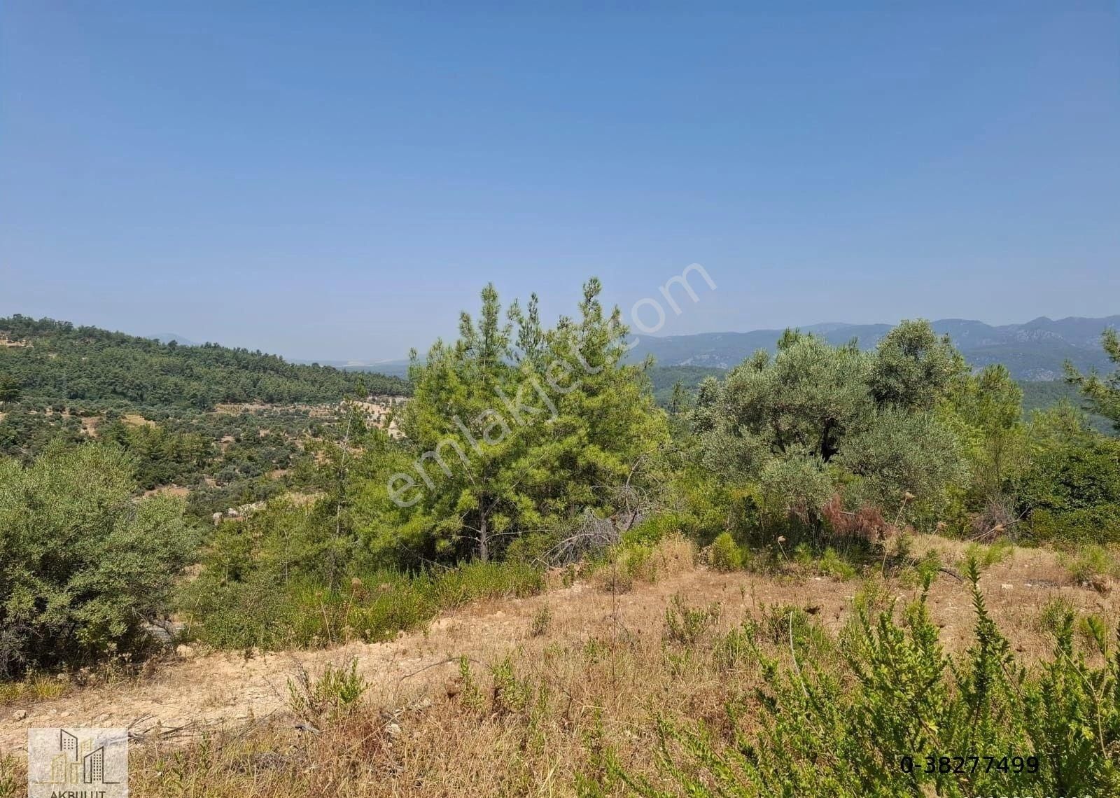 Ören Alatepe'de 5.795 M² Zeytinli Tarla - Görsel 25