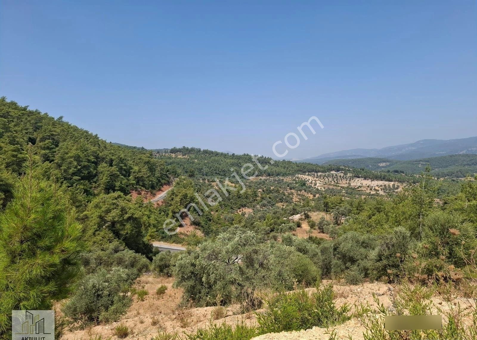 Ören Alatepe'de 5.795 M² Zeytinli Tarla - Görsel 2