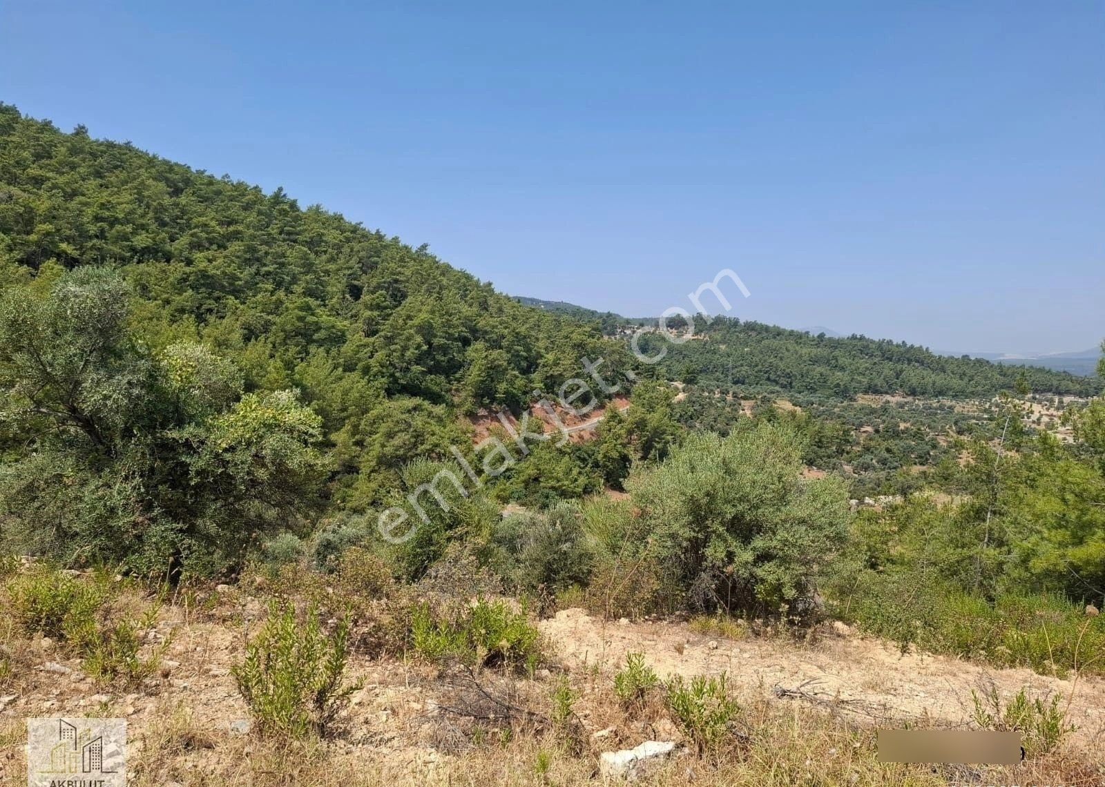 Ören Alatepe'de 5.795 M² Zeytinli Tarla - Görsel 22