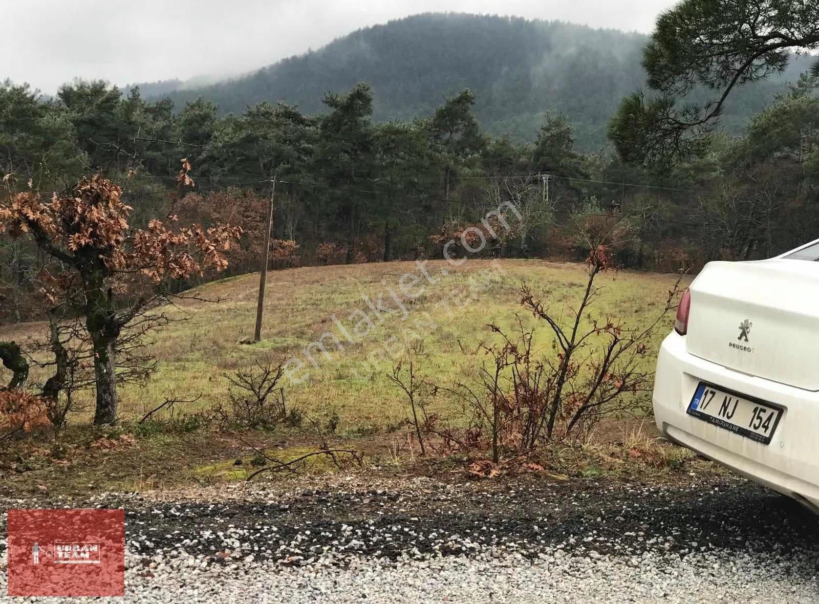Çanakkale Lapseki Yaylalar Da Yatırımlık Kupon Tarla - Görsel 2