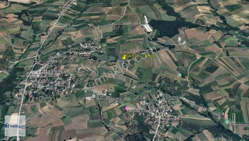 Yenigün Emlak Tan Söğütlü İmamlar Köyü 185.m2 Satılık Tarla - Görsel 4