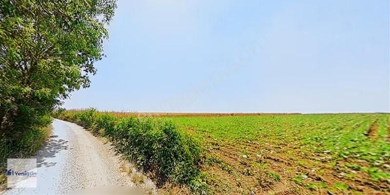 Yenigün Emlak Tan Söğütlü İmamlar Köyü 185.m2 Satılık Tarla - Görsel 2