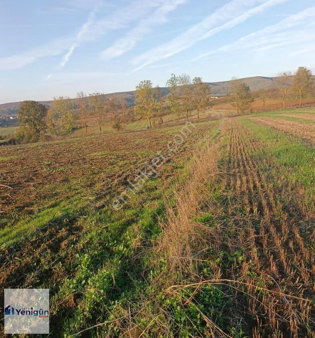 Yenigün Emlak Tan Söğütlü İmamlar Köyü 185.m2 Satılık Tarla - Görsel 5