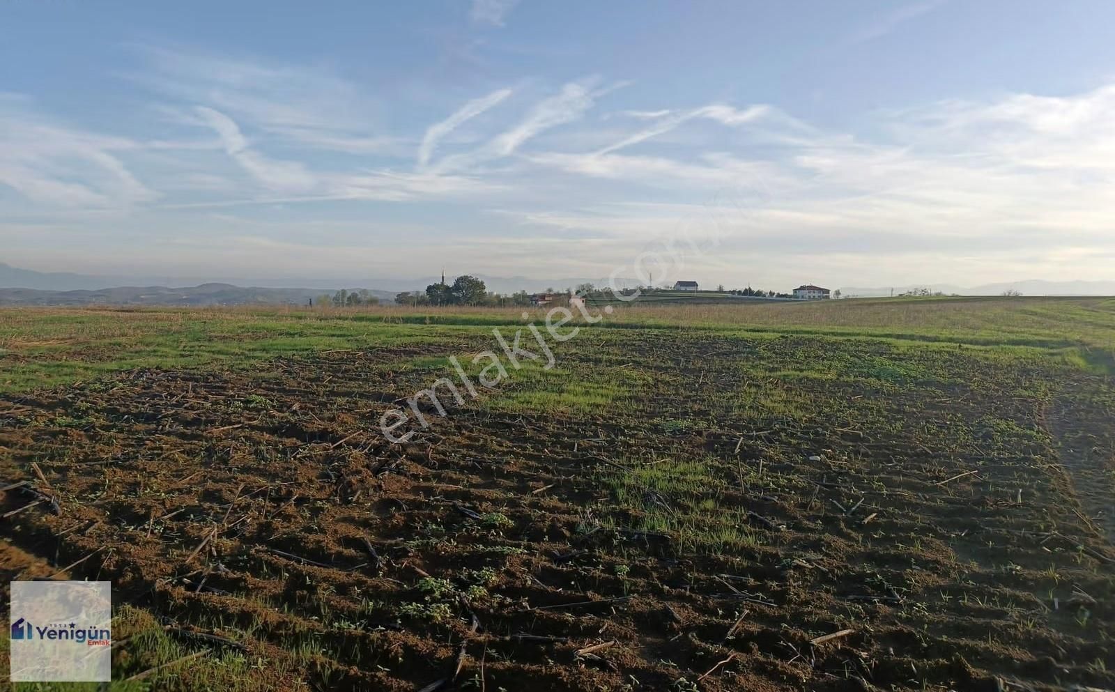 Yenigün Emlak Tan Söğütlü İmamlar Köyü 185.m2 Satılık Tarla - Görsel 6