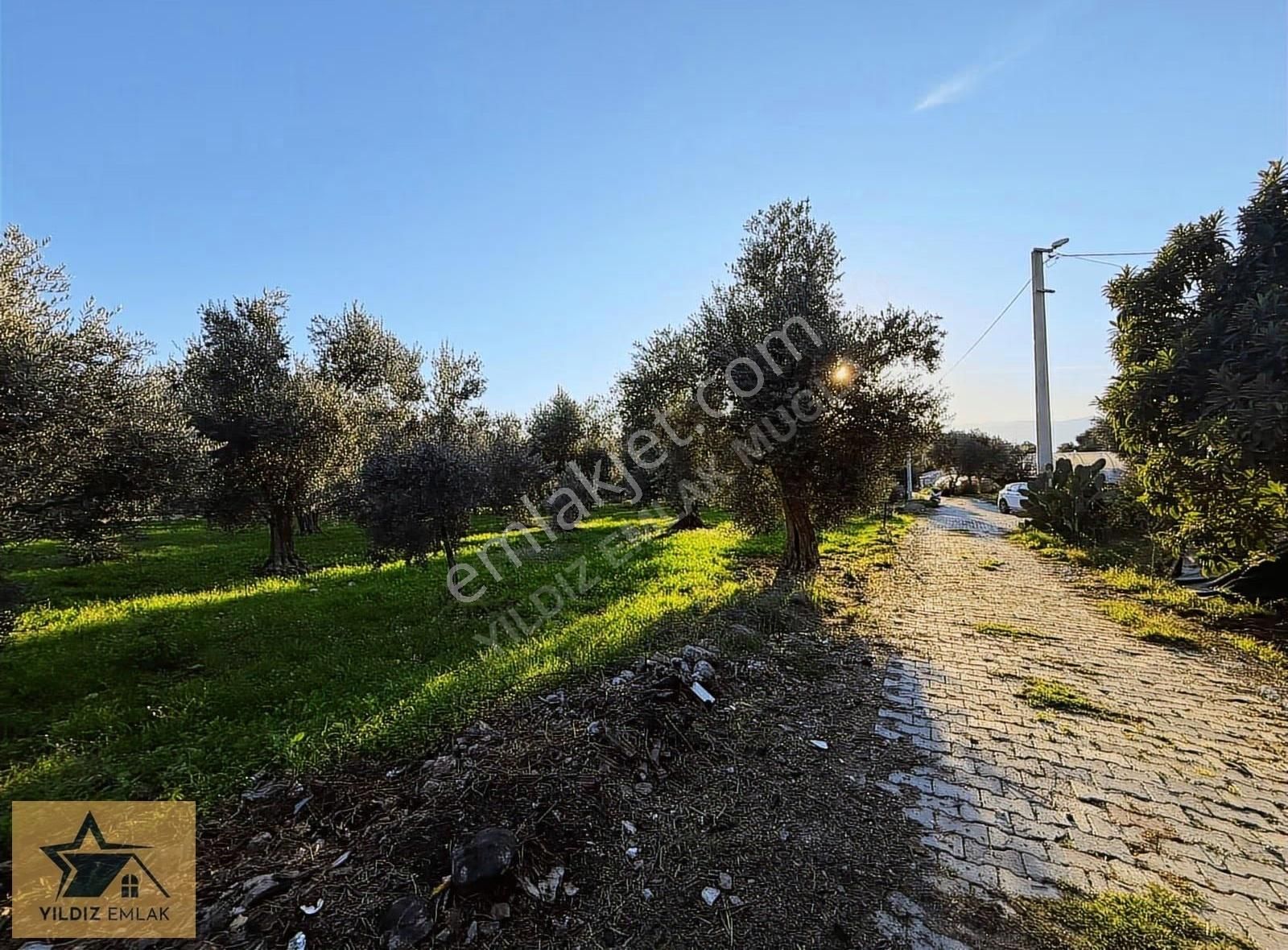 Rızai Taksim Yapılmış 1911 M² Fırsat Acill Satılık Arsa - Görsel 2