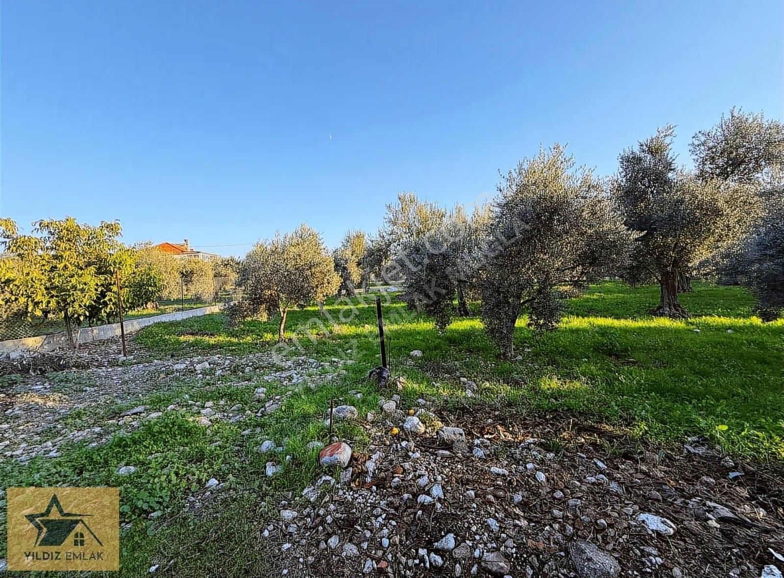 Rızai Taksim Yapılmış 1911 M² Fırsat Acill Satılık Arsa - Görsel 9