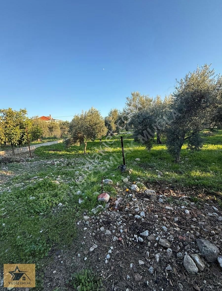 Rızai Taksim Yapılmış 1911 M² Fırsat Acill Satılık Arsa