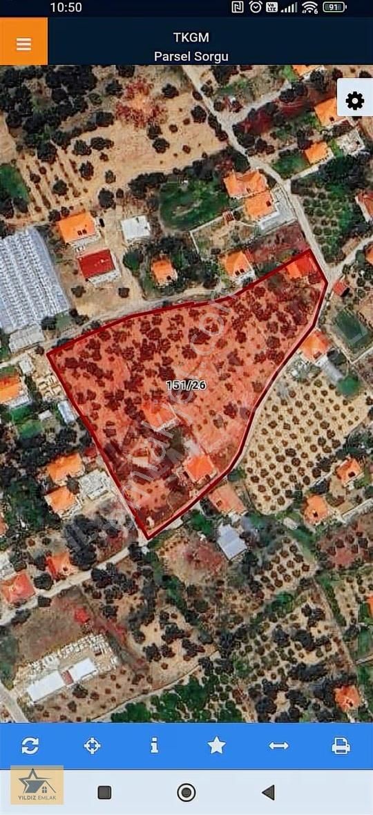 Rızai Taksim Yapılmış 1911 M² Fırsat Acill Satılık Arsa - Görsel 5