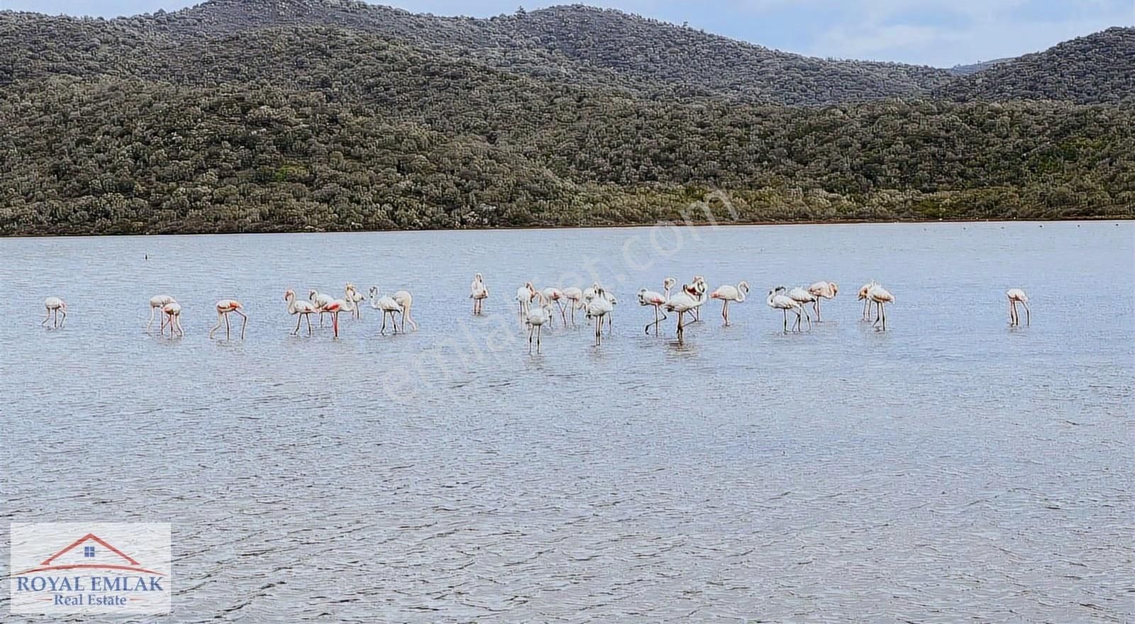 Muğla Boğaziçi Panoramik Deniz Manzaralı Satılık Arsa - Görsel 11