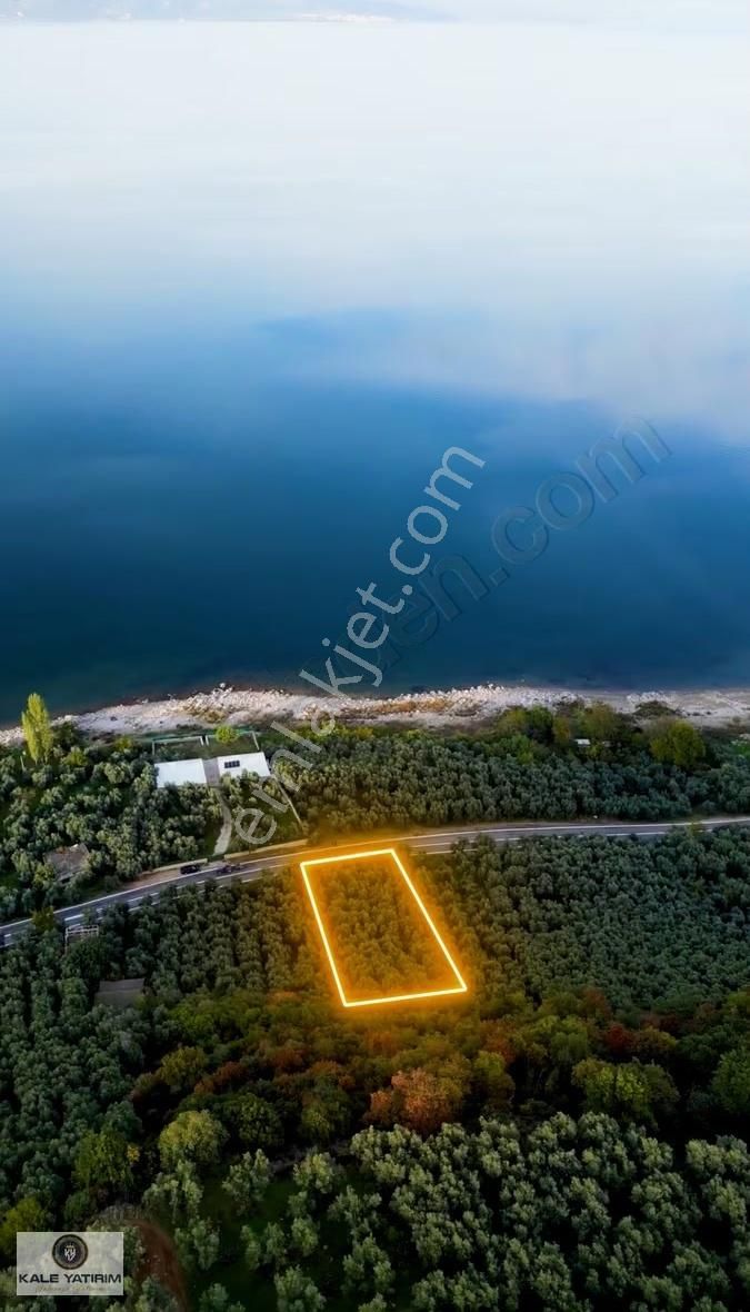 Kaleden Narlıcada Asfalt Cepheli Göle 50mt Manzaralı Zeytinlik - Görsel 8