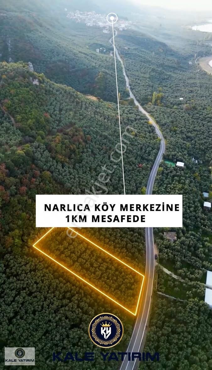 Kaleden Narlıcada Asfalt Cepheli Göle 50mt Manzaralı Zeytinlik - Görsel 14