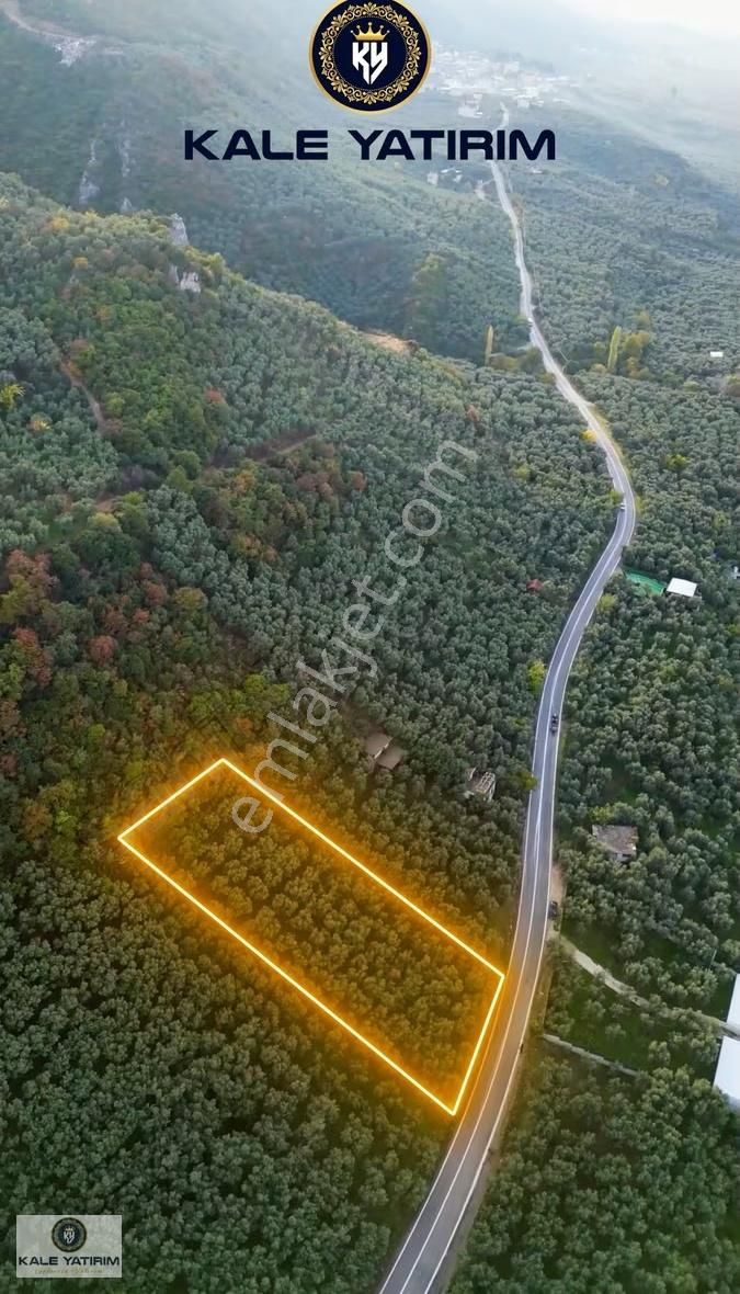 Kaleden Narlıcada Asfalt Cepheli Göle 50mt Manzaralı Zeytinlik - Görsel 5