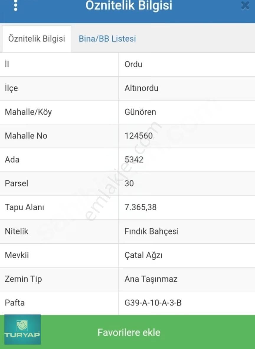 Ordu Günören Mah 7.365 M2 Satılık Fındık Bahçesi