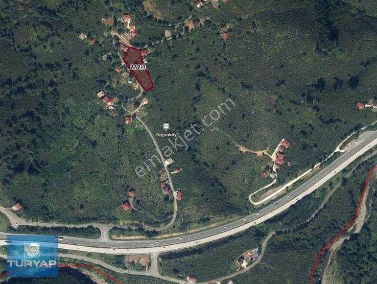 Karadenizin Kalbi Perşmbe Doğanköyde 2980 Dönüm Yol Cepheli Arsa