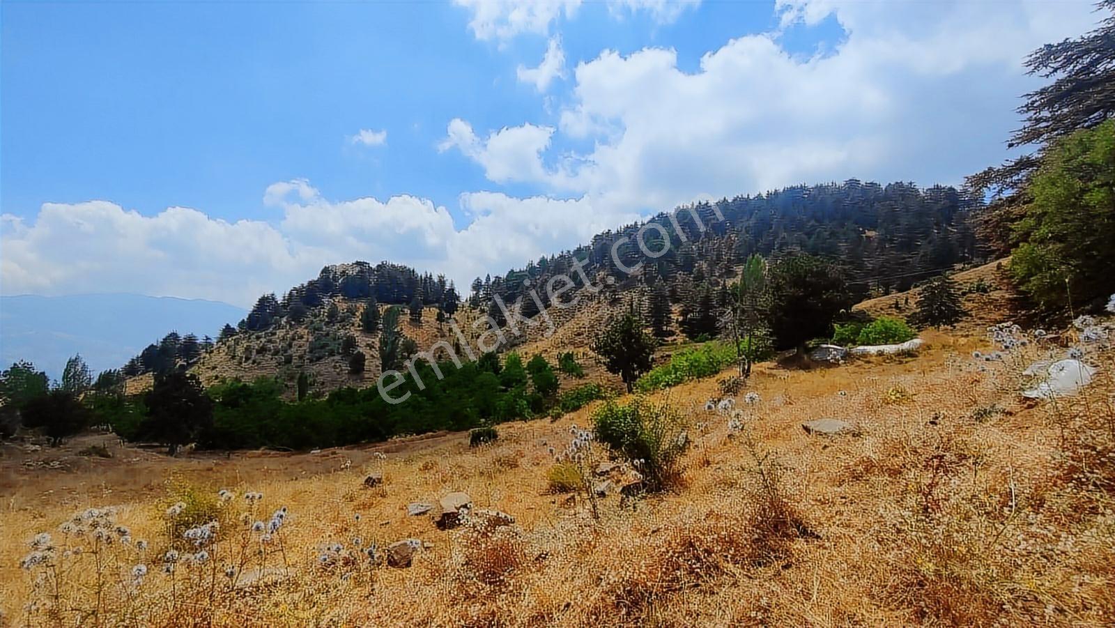 Konyaaltı Yarbaşçandır Kökez Yaylasın'da Villa İmarlı Arsa - Görsel 8