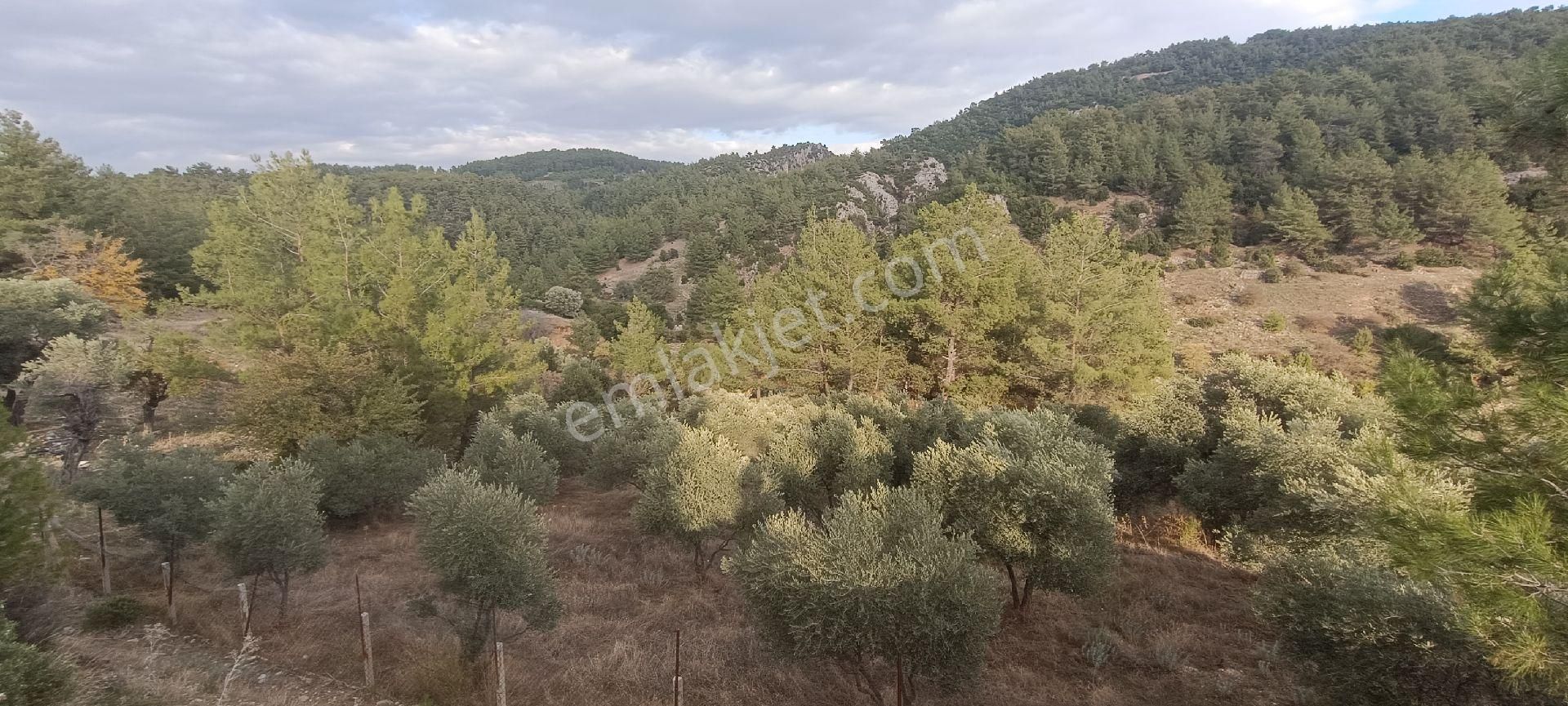 Muğla Bayır,da 1780m2 Satılık - Görsel 4