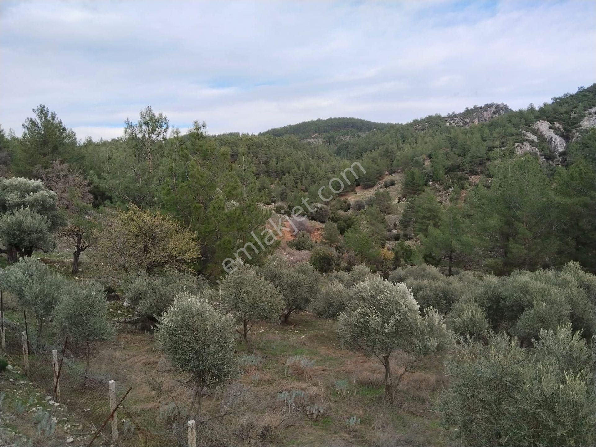 Muğla Bayır,da 1780m2 Satılık - Görsel 26