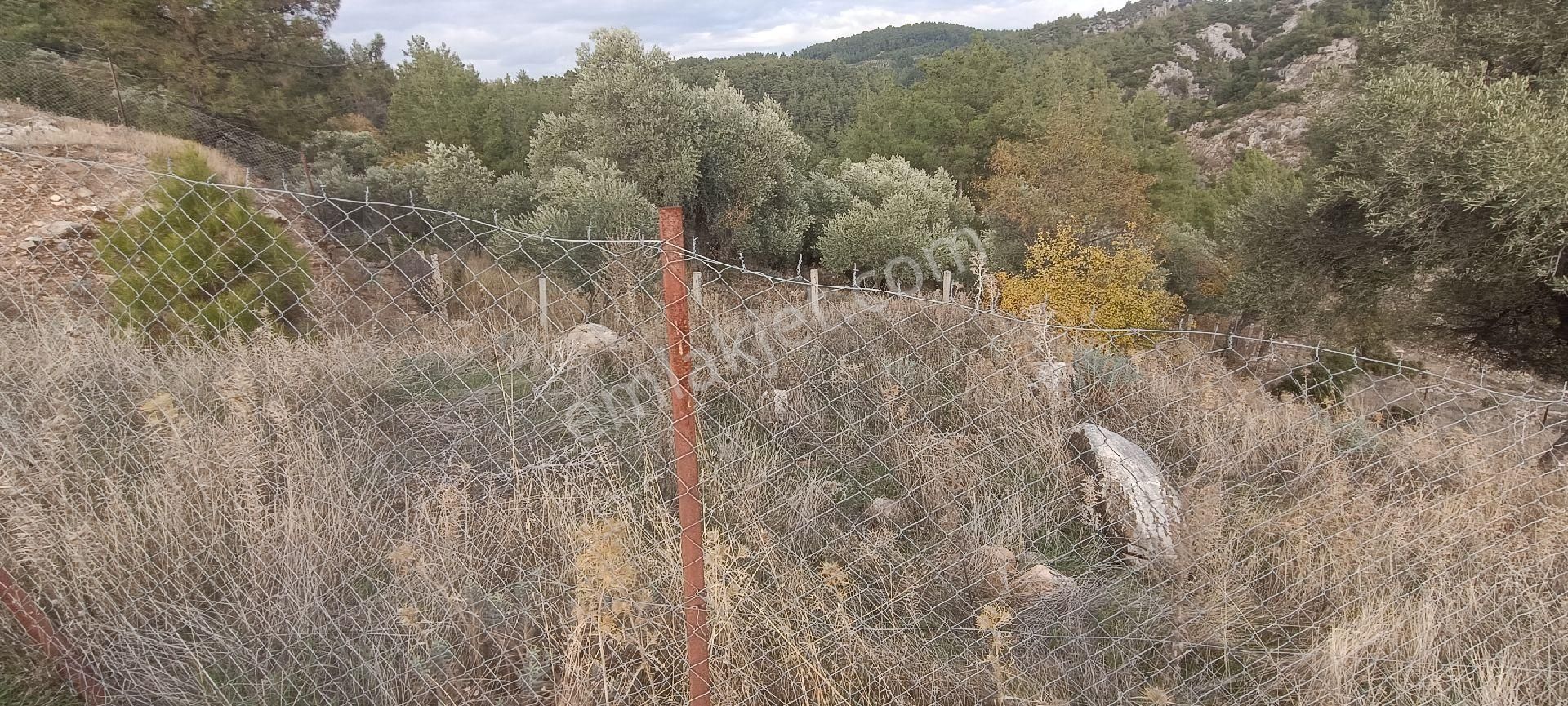 Muğla Bayır,da 1780m2 Satılık - Görsel 10