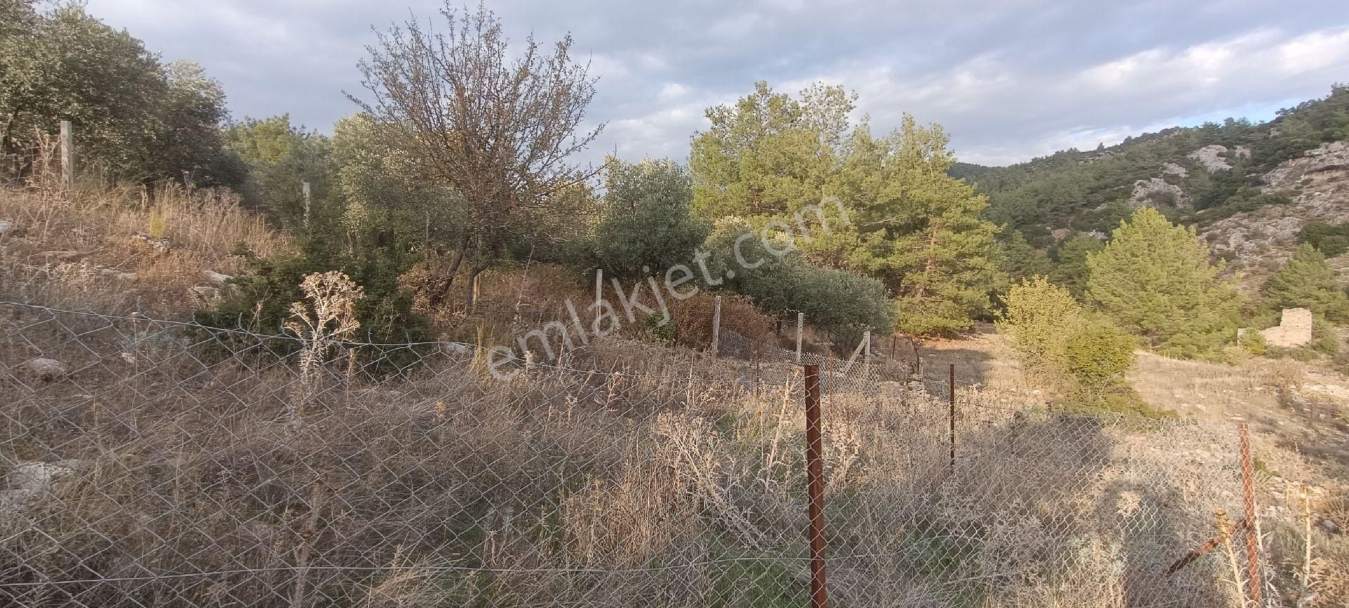 Muğla Bayır,da 1780m2 Satılık - Görsel 9