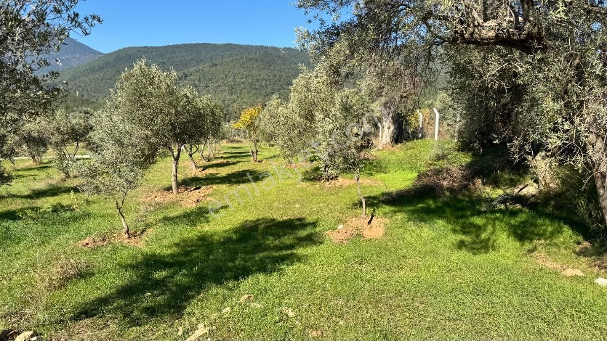 Kemalpaşa Dereköyde Satılık Kooperatif Hissesi - Görsel 2