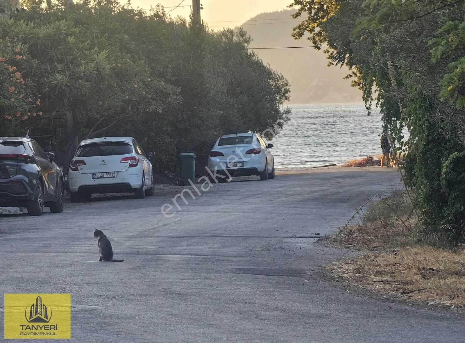 Dardanosta Satılık Yanyana İki Arsa Ve Tadilat Gereken Villa - Görsel 3