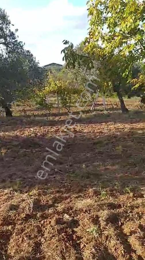 Yatırım Doktorum Çavuş Mah. Satılık Yatırımlık Arazi - Görsel 5