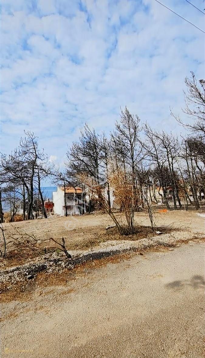 Çanakkale'nin Kalbi Güzelyalı Köyü'nde Satılık Arsa!!! - Görsel 2