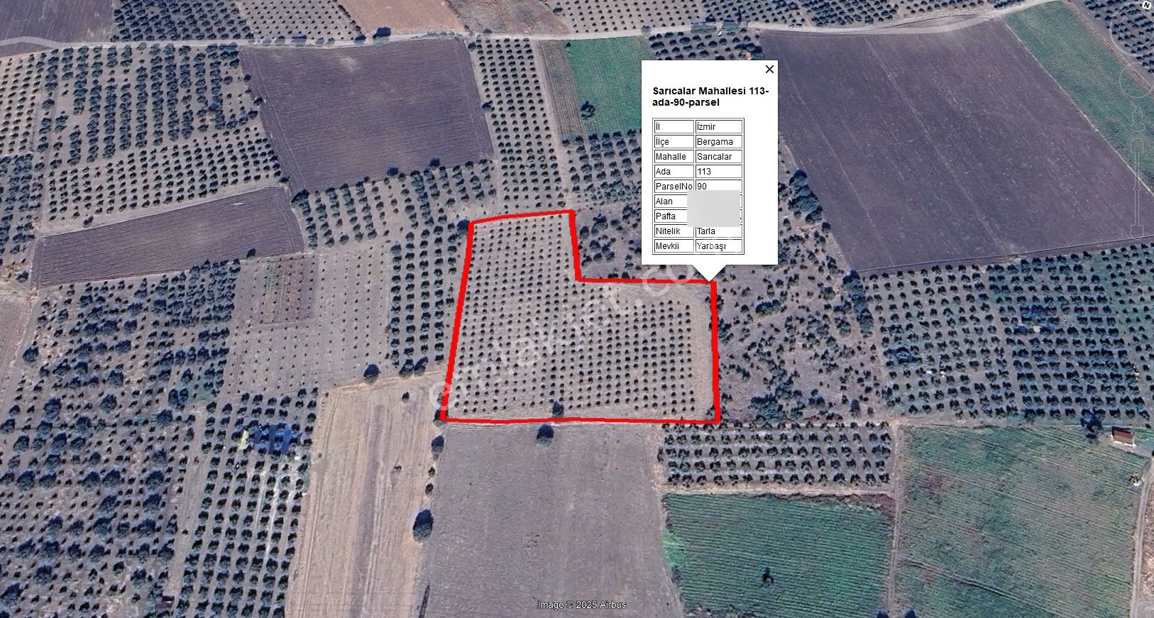 Bölcek - Hamidiye Arasında 530 Ağaç Zeytinlik