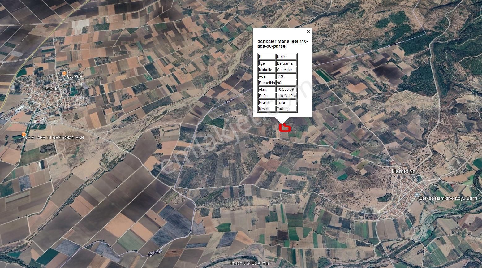 Bölcek - Hamidiye Arasında 530 Ağaç Zeytinlik - Görsel 2