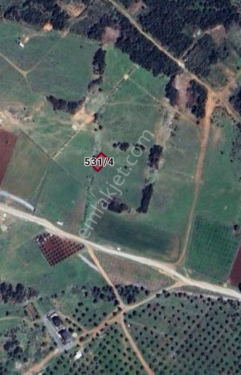 Akyeniköy Balova Güzel Konumda Yatırımlık Villa Arsası - Görsel 3
