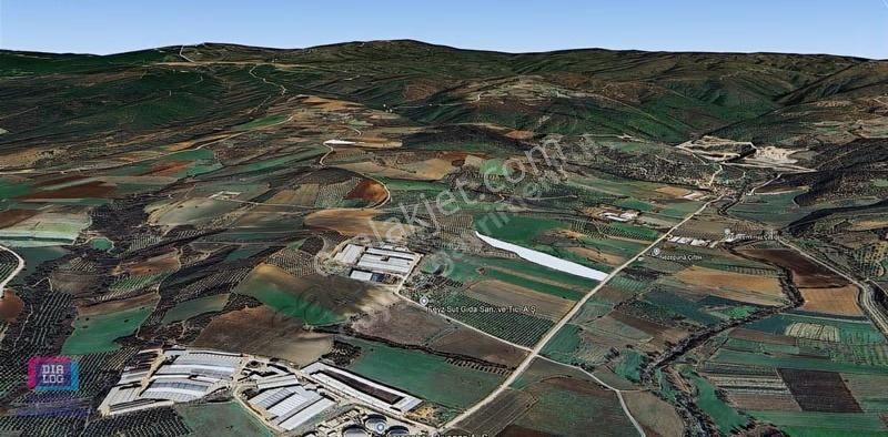 Karacabey Gölecikte Satılık Yüksek Verimli Ceviz Bahçesi - Görsel 4