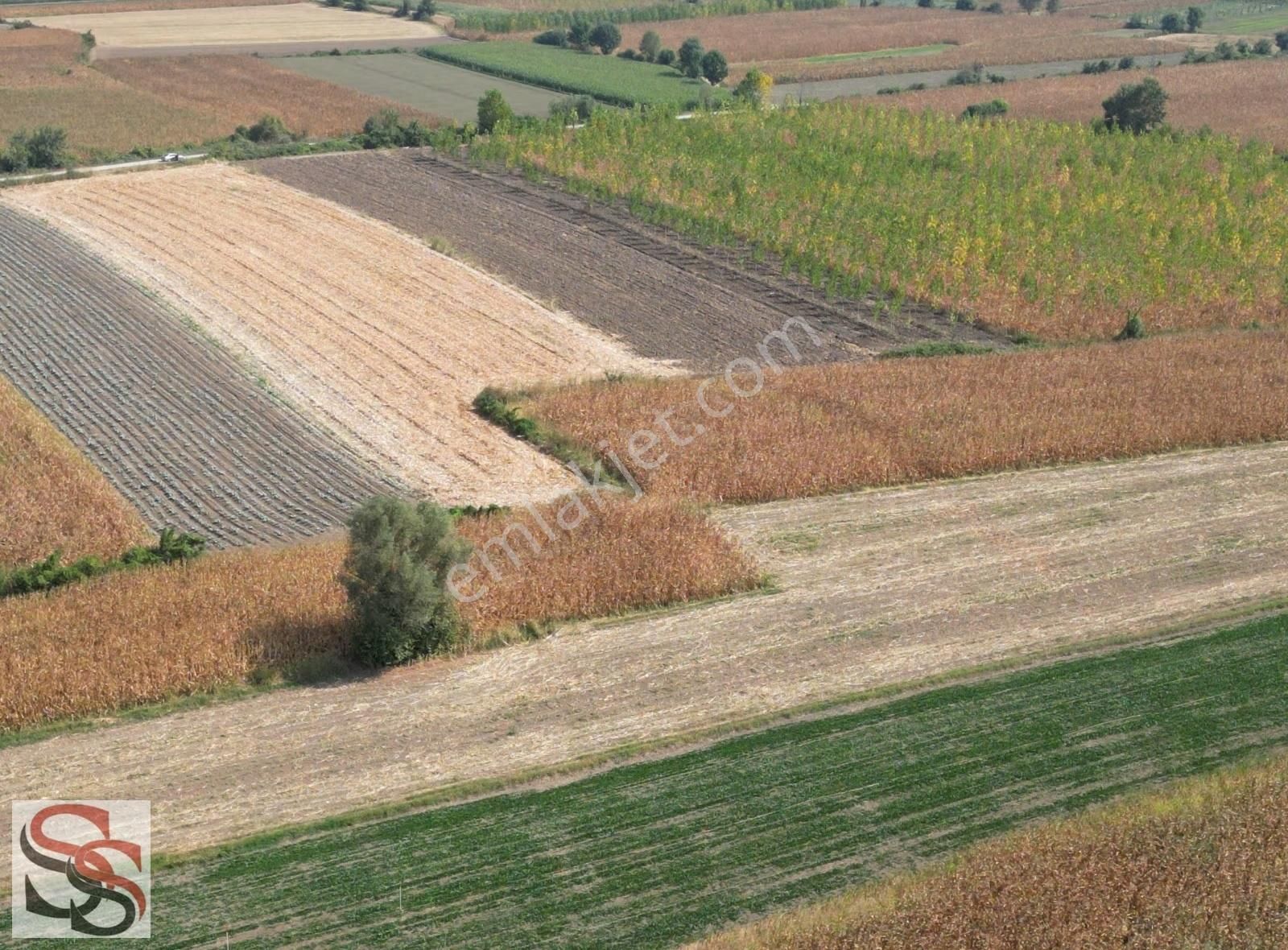 Erenler D-100 Karayoluna 290 Metre 5.800 M² Yatırımlık Tarla - Görsel 13