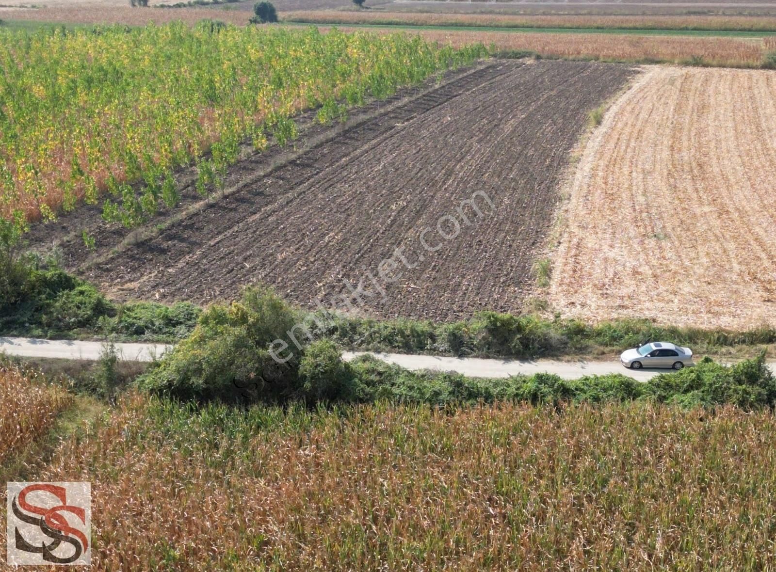 Erenler D-100 Karayoluna 290 Metre 5.800 M² Yatırımlık Tarla - Görsel 25