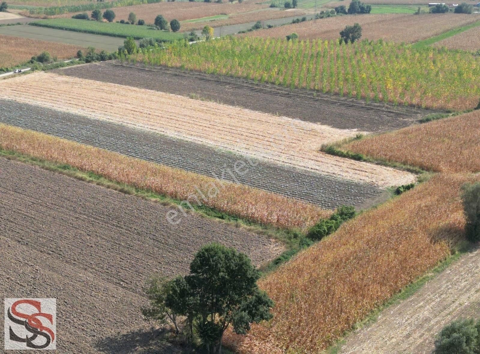 Erenler D-100 Karayoluna 290 Metre 5.800 M² Yatırımlık Tarla - Görsel 6