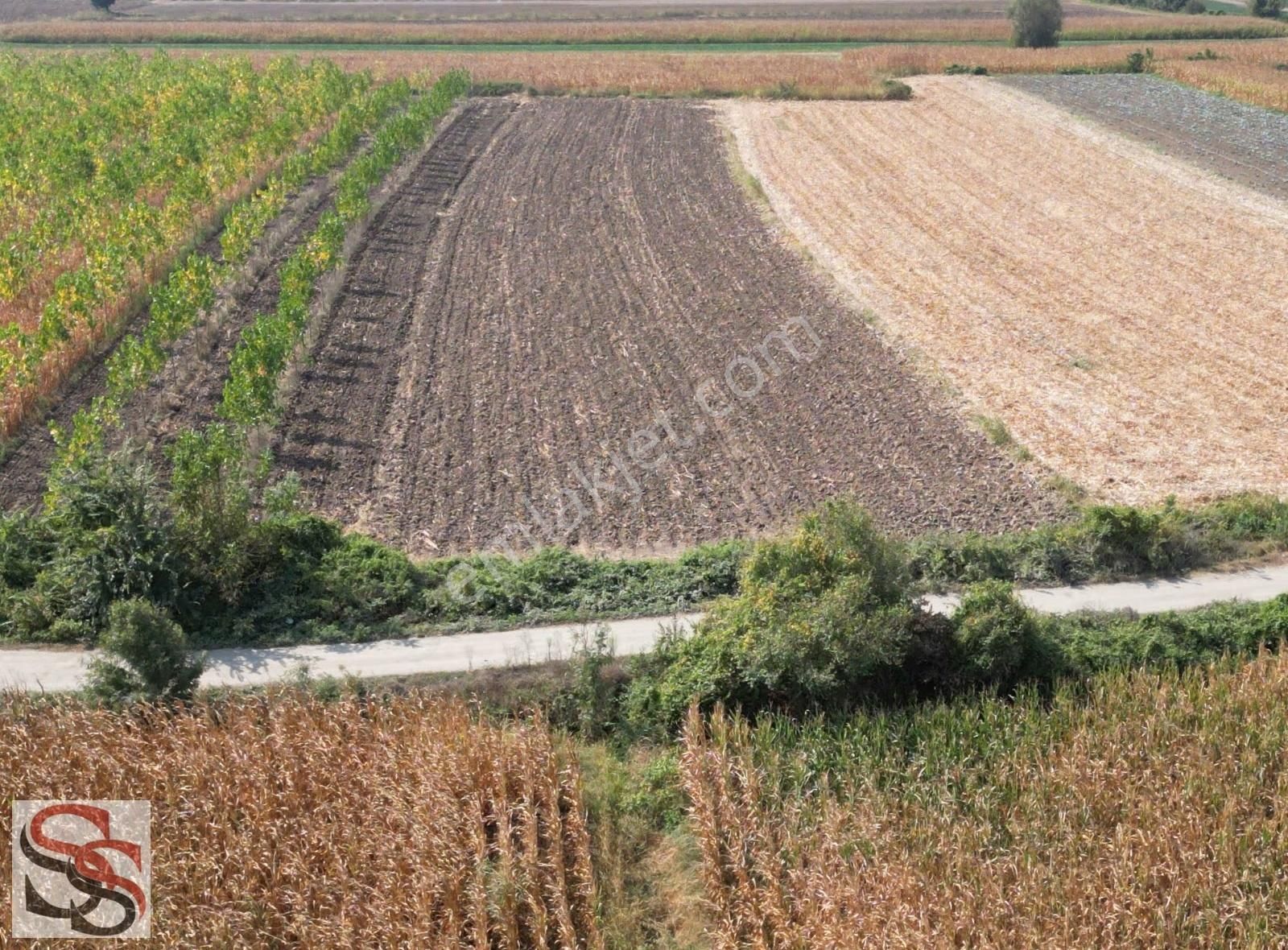 Erenler D-100 Karayoluna 290 Metre 5.800 M² Yatırımlık Tarla - Görsel 12