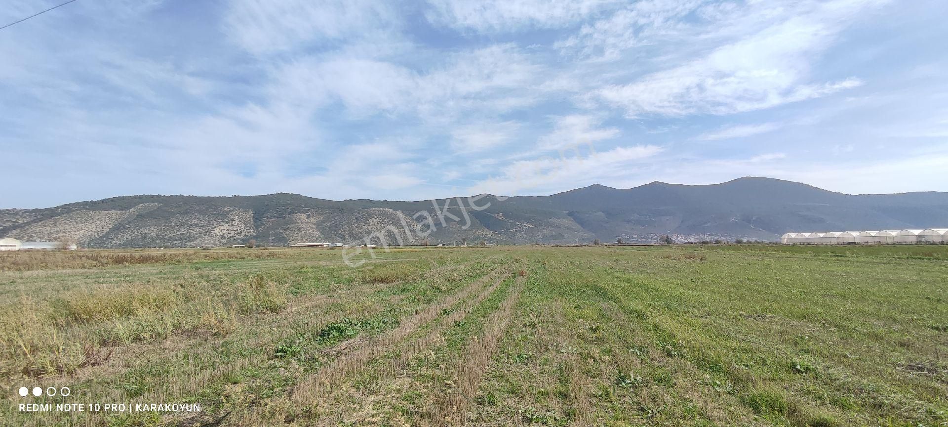 Milas Damlıboğaz'da - Görsel 9