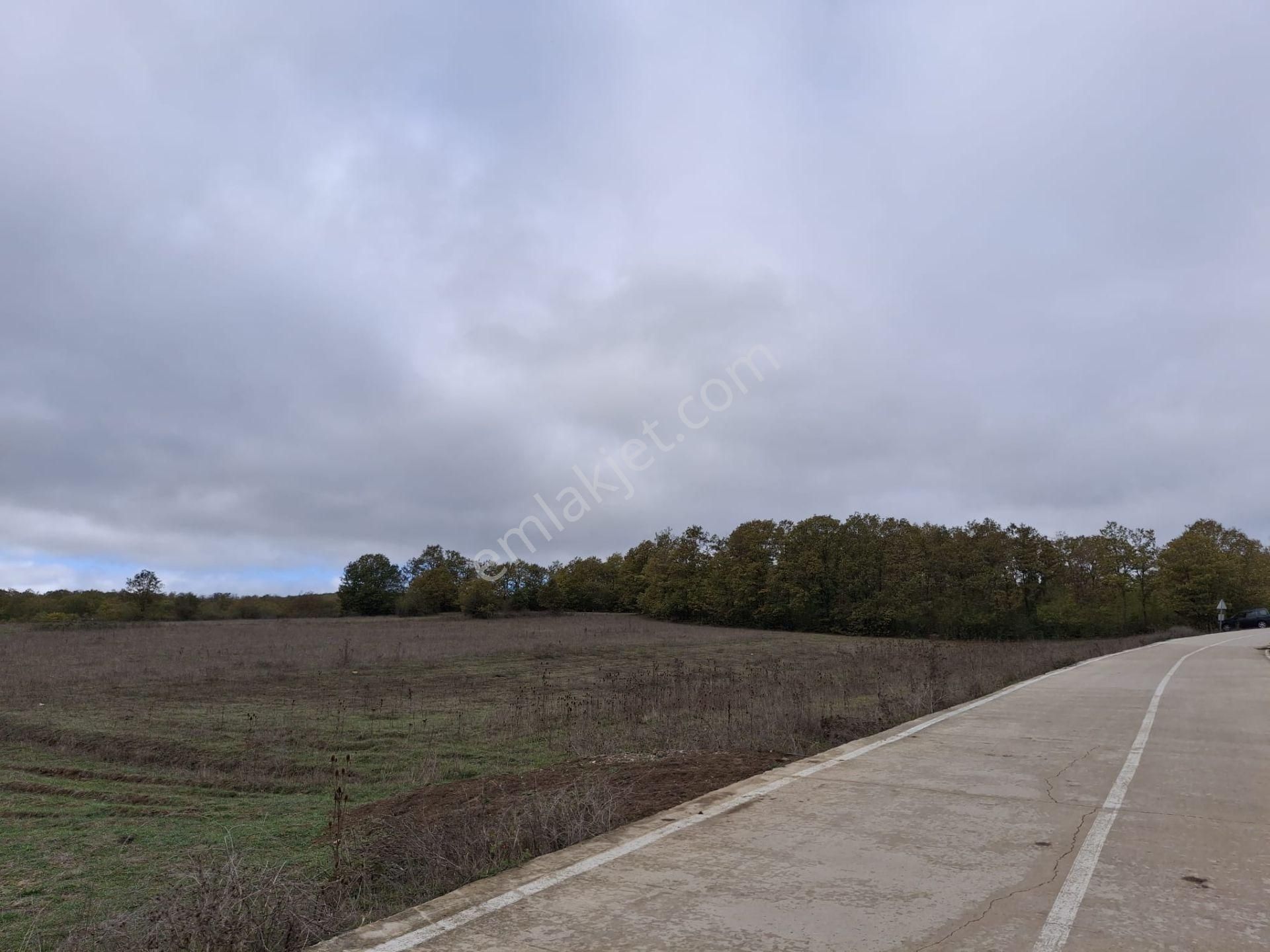 Sahibinden: Kavak-asarcık Karayoluna Yakın, Beton Yola Cepheli Tarla