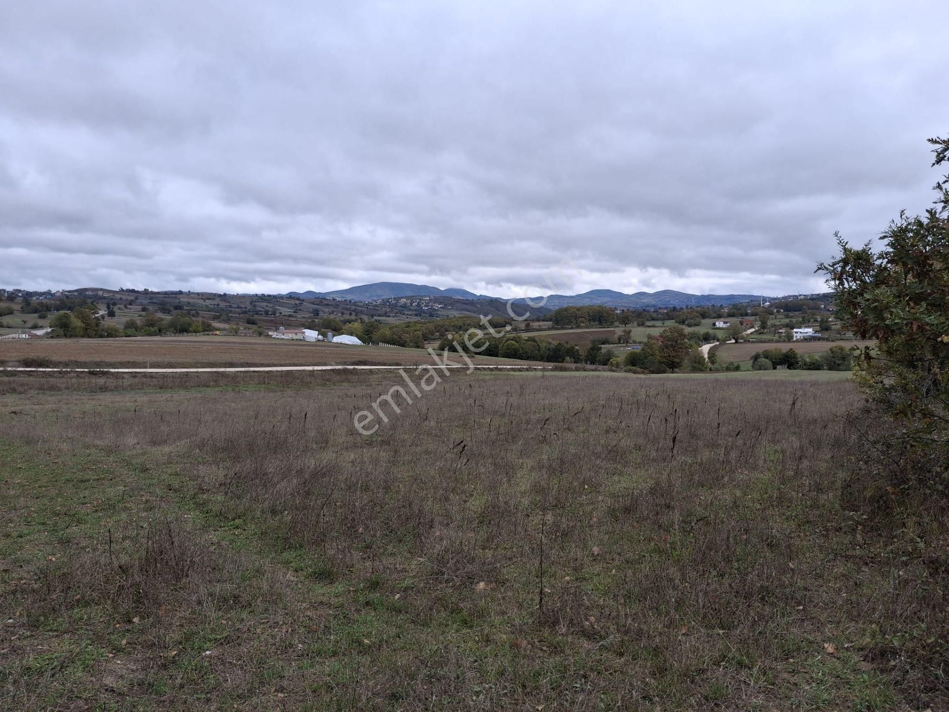 Sahibinden: Kavak-asarcık Karayoluna Yakın, Beton Yola Cepheli Tarla - Görsel 6